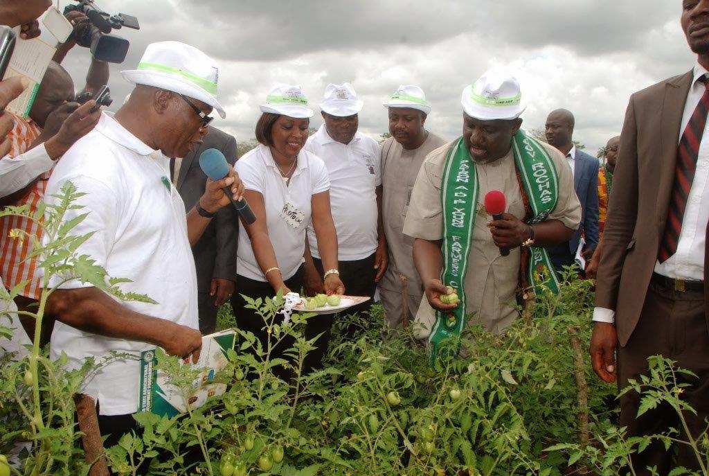 Governor Rochas Okorocha on Farming in Imo State